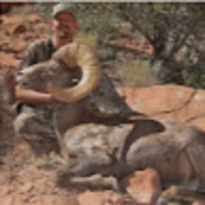 Meet your Posher, Todd